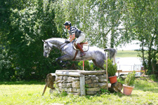 Germany-Black Forest-Castle Sindlingen Equestrian